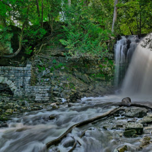 This treasure is hidden in the forest at Hilton Falls Conservation Area.